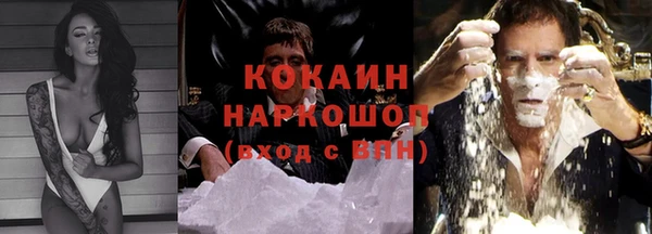 молекула духа Осинники