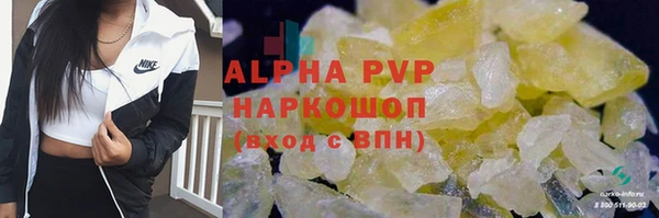 молекула духа Осинники
