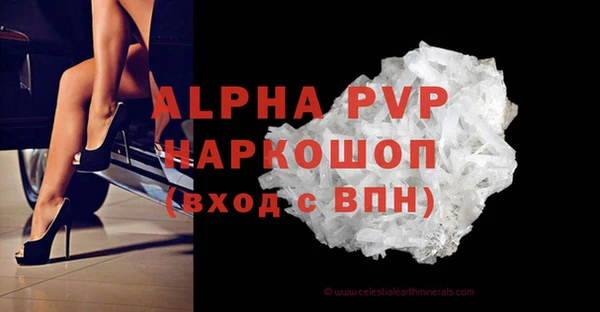 молекула духа Осинники