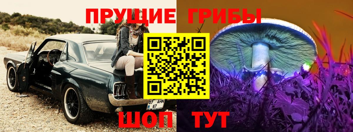 Псилоцибиновые грибы прущие грибы Североморск